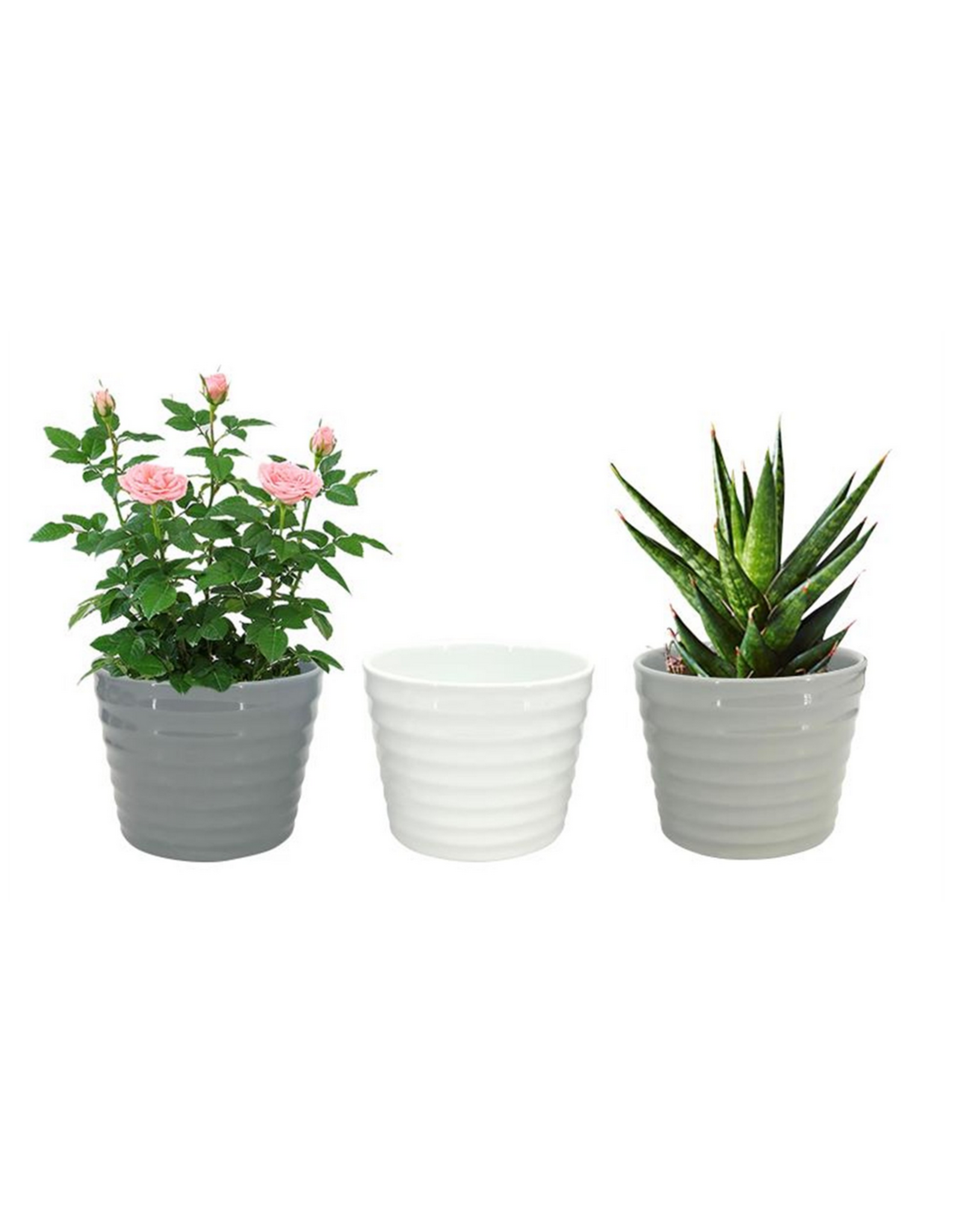 Ceramic Tapered Pots - Assorted