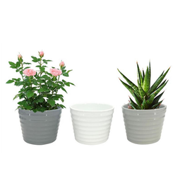 Ceramic Tapered Pots - Assorted