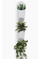 Floralink Wall Vessel