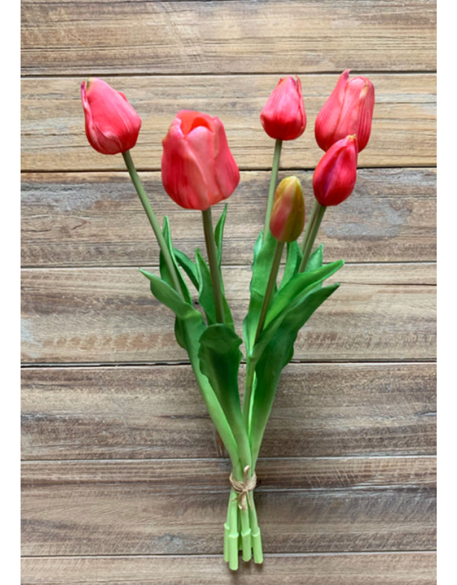19" Rose Fresh Touch Tulip Bundle