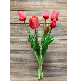19" Rose Fresh Touch Tulip Bundle