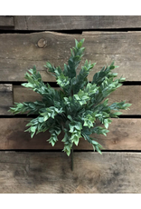 15" Ruscus Leaves Bush