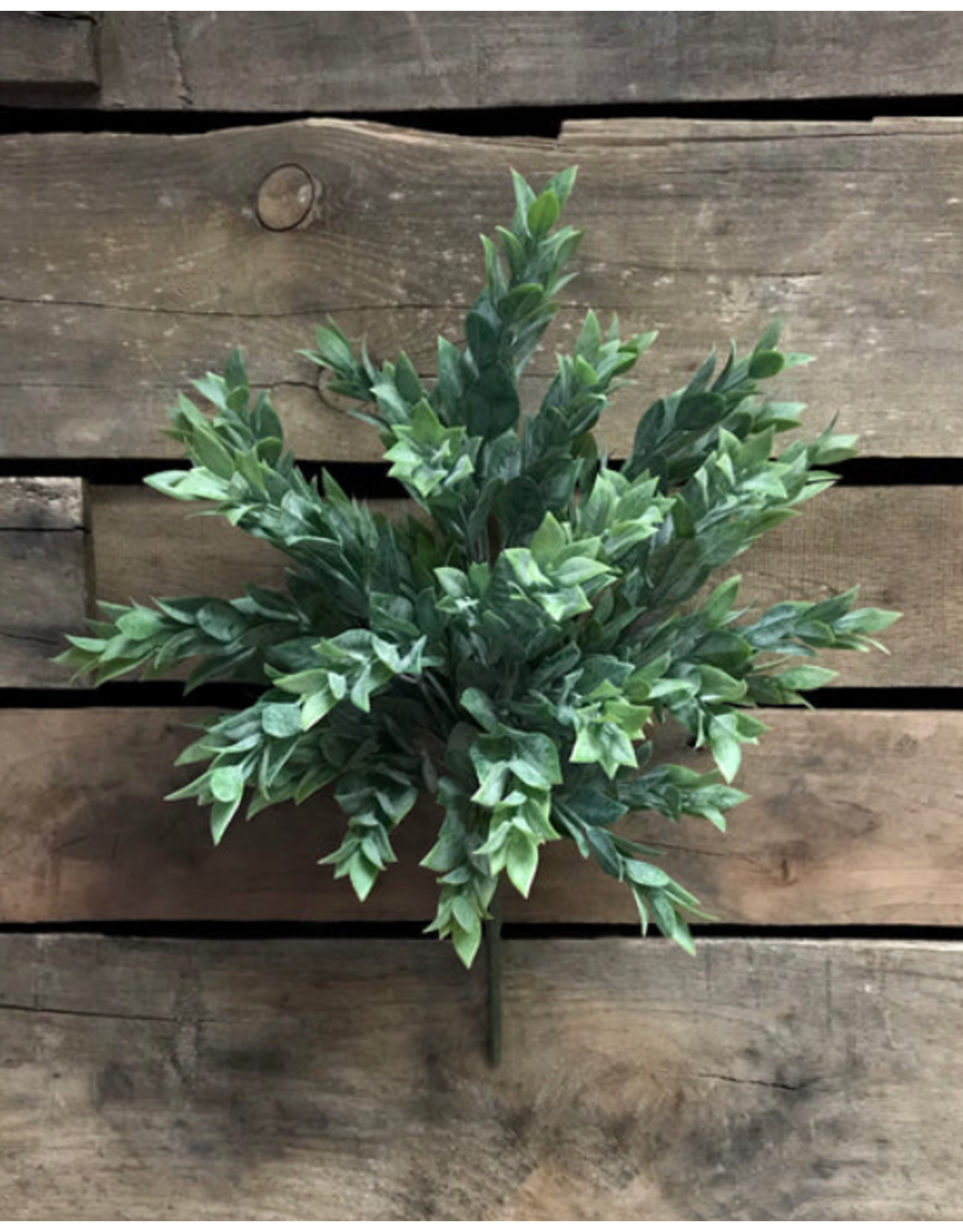15" Ruscus Leaves Bush