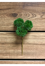 9" Fresh Touch Seedum Pick - Green