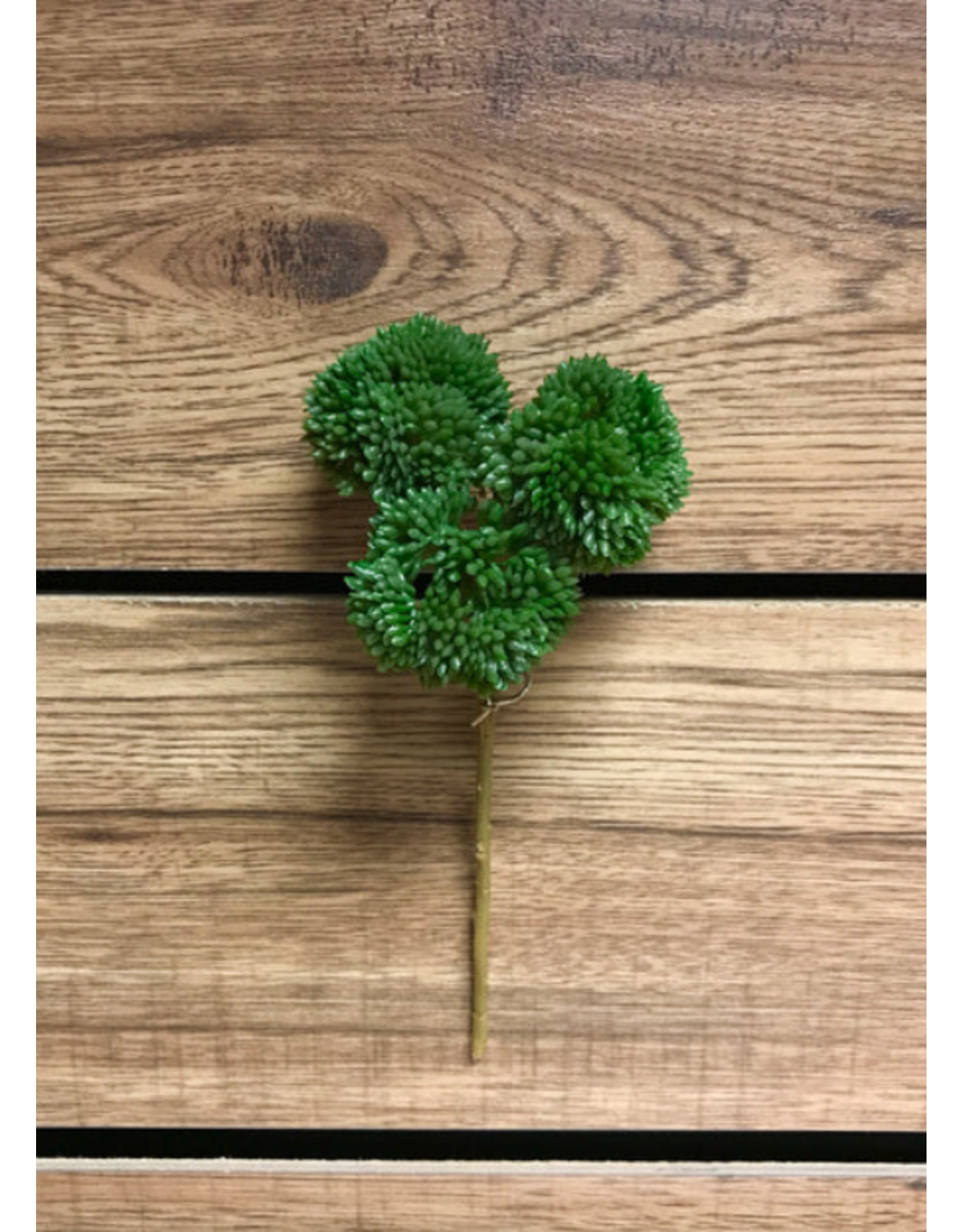 9" Fresh Touch Seedum Pick - Green