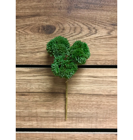 9" Fresh Touch Seedum Pick - Green