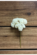 9" Fresh Touch Sedum Pick - White