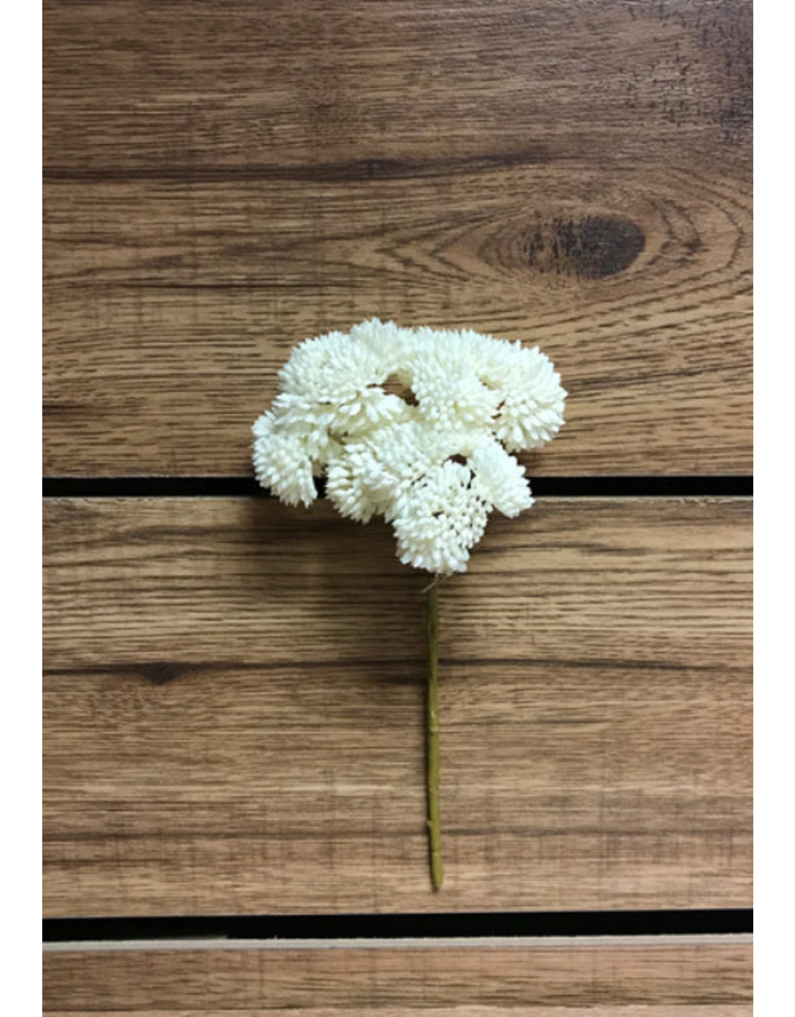 9" Fresh Touch Sedum Pick - White