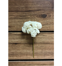 9" Fresh Touch Sedum Pick - White