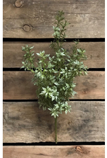 19" Tea Leaf Bush