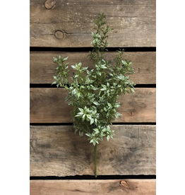 19" Tea Leaf Bush