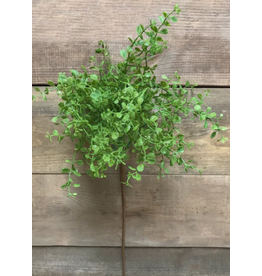 12" Green Fresh Touch  Baby Tears Spray