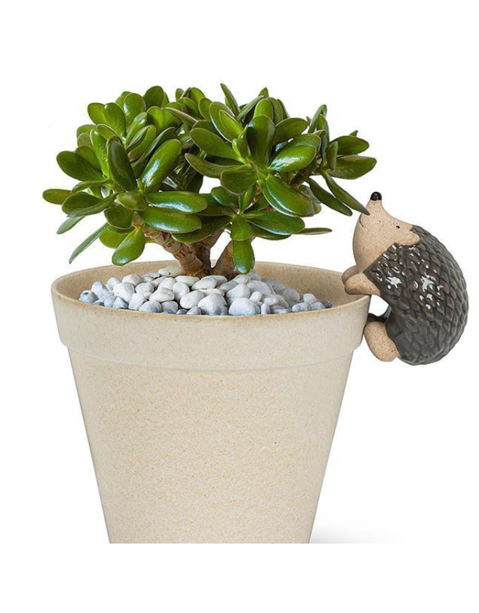 Climbing Hedgehog Pot Hanger