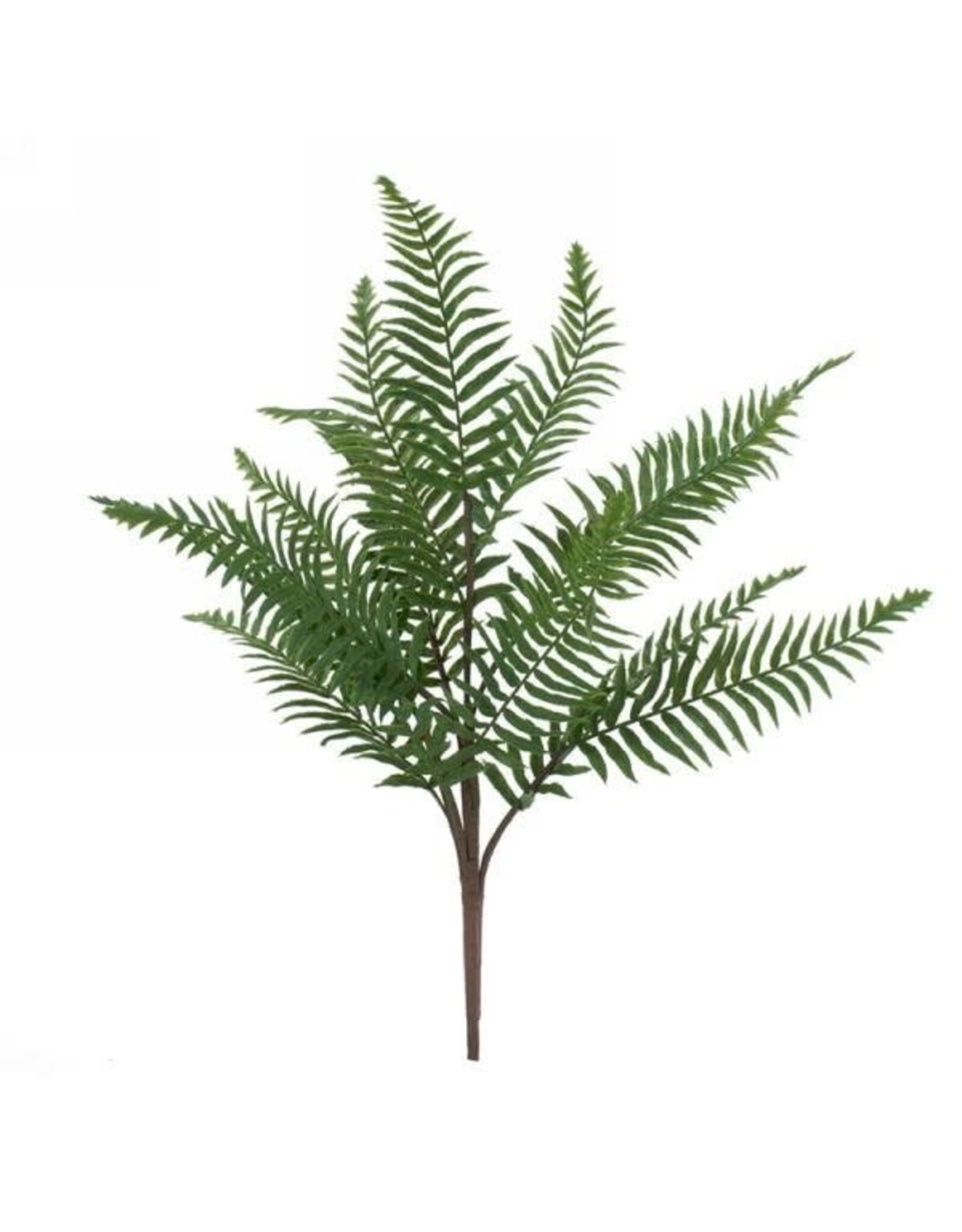 Green fern branch 20"