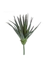 Green Foliage Stem