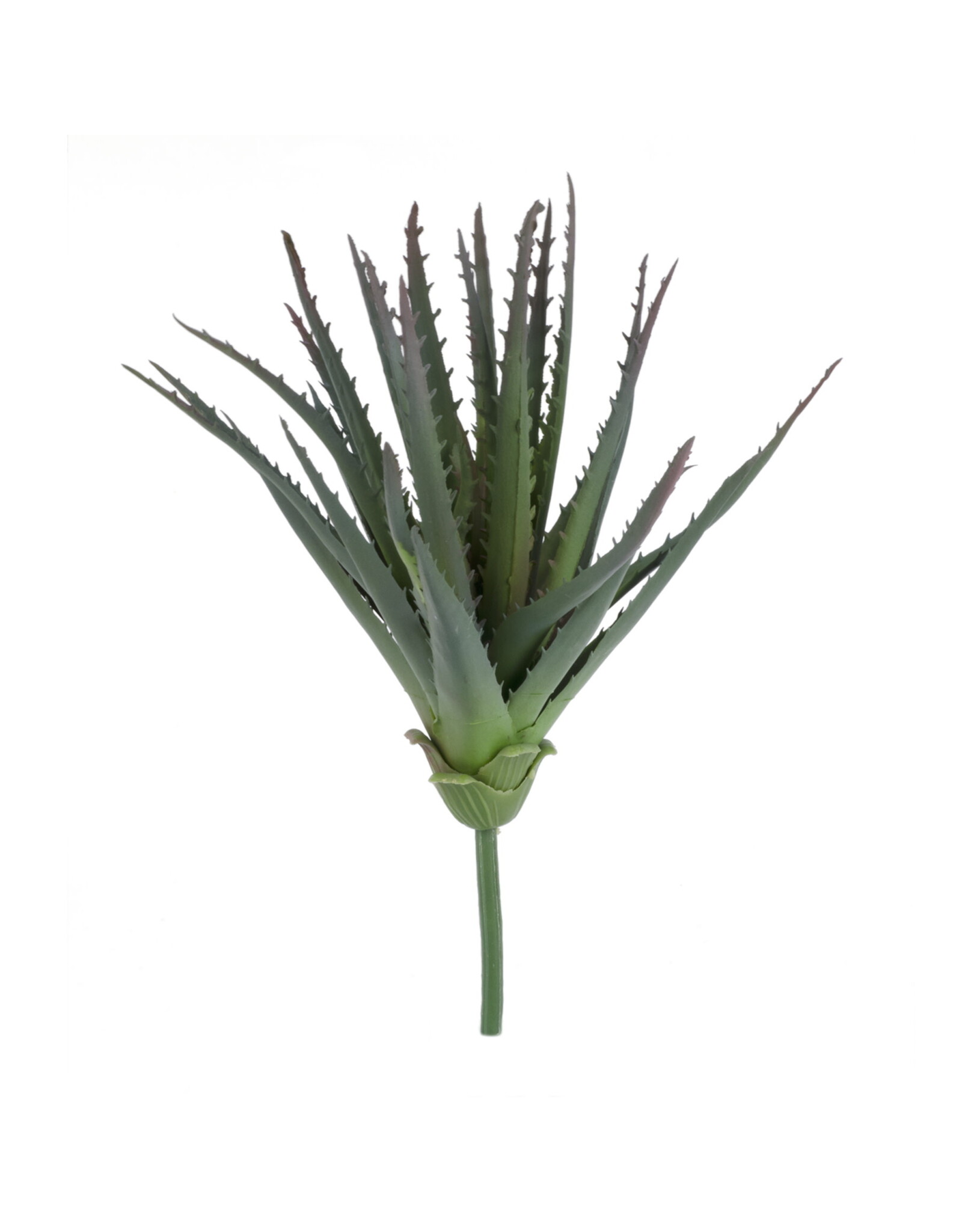 Green Foliage Stem