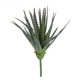 Green Foliage Stem
