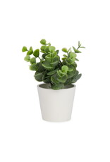 Small artificial plant in white pot