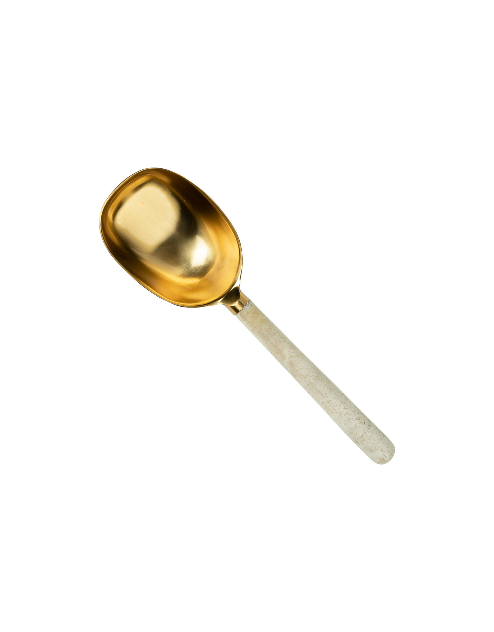 Orion Ice Scoop