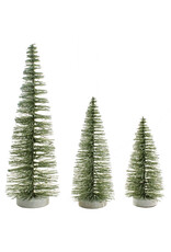 Moss Green Bristle tree -Large