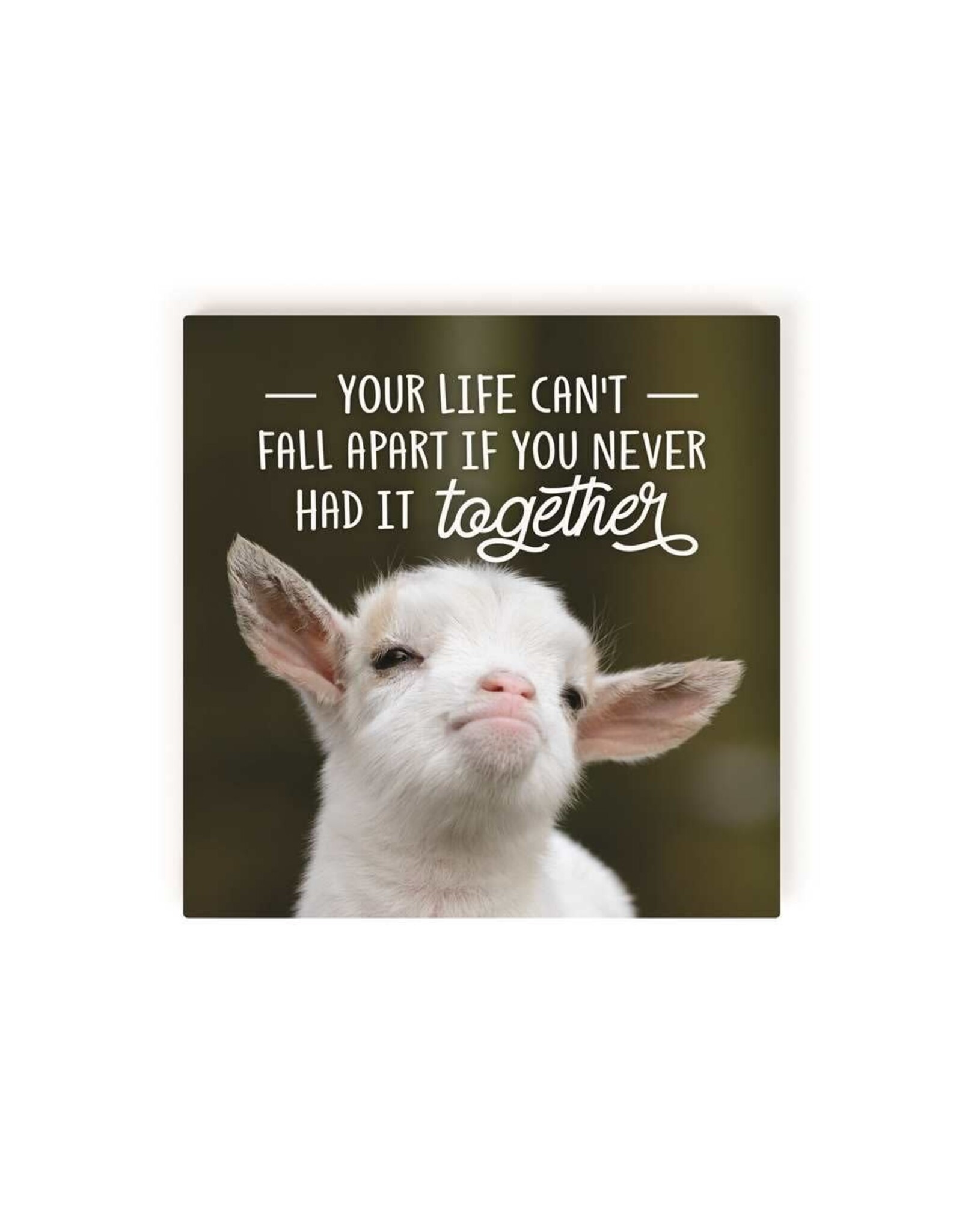 Sign - Your Life Can't Fall