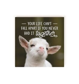 Sign - Your Life Can't Fall