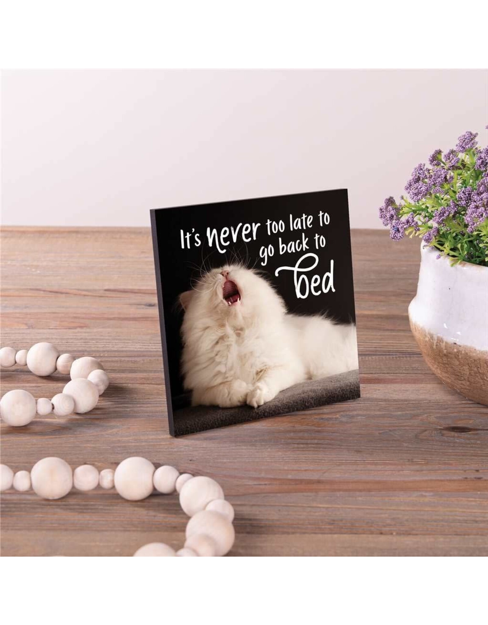 Sign - It's Never Too Late/Bed