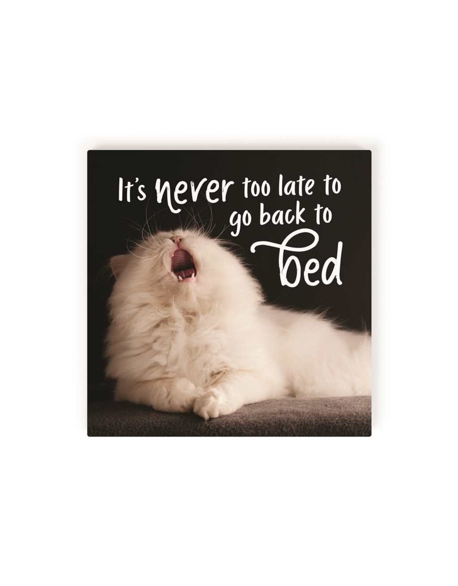 Sign - It's Never Too Late/Bed