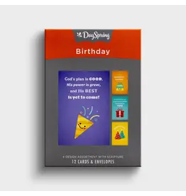Birthday - Bold & Bright - 12 Boxed Cards