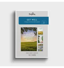 Get Well - Roy Lessin Landscapes - 12 Boxed Cards