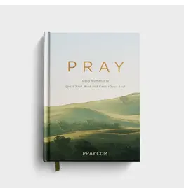 PRAY: Daily Moments to Quiet Your Mind and Center Your Soul