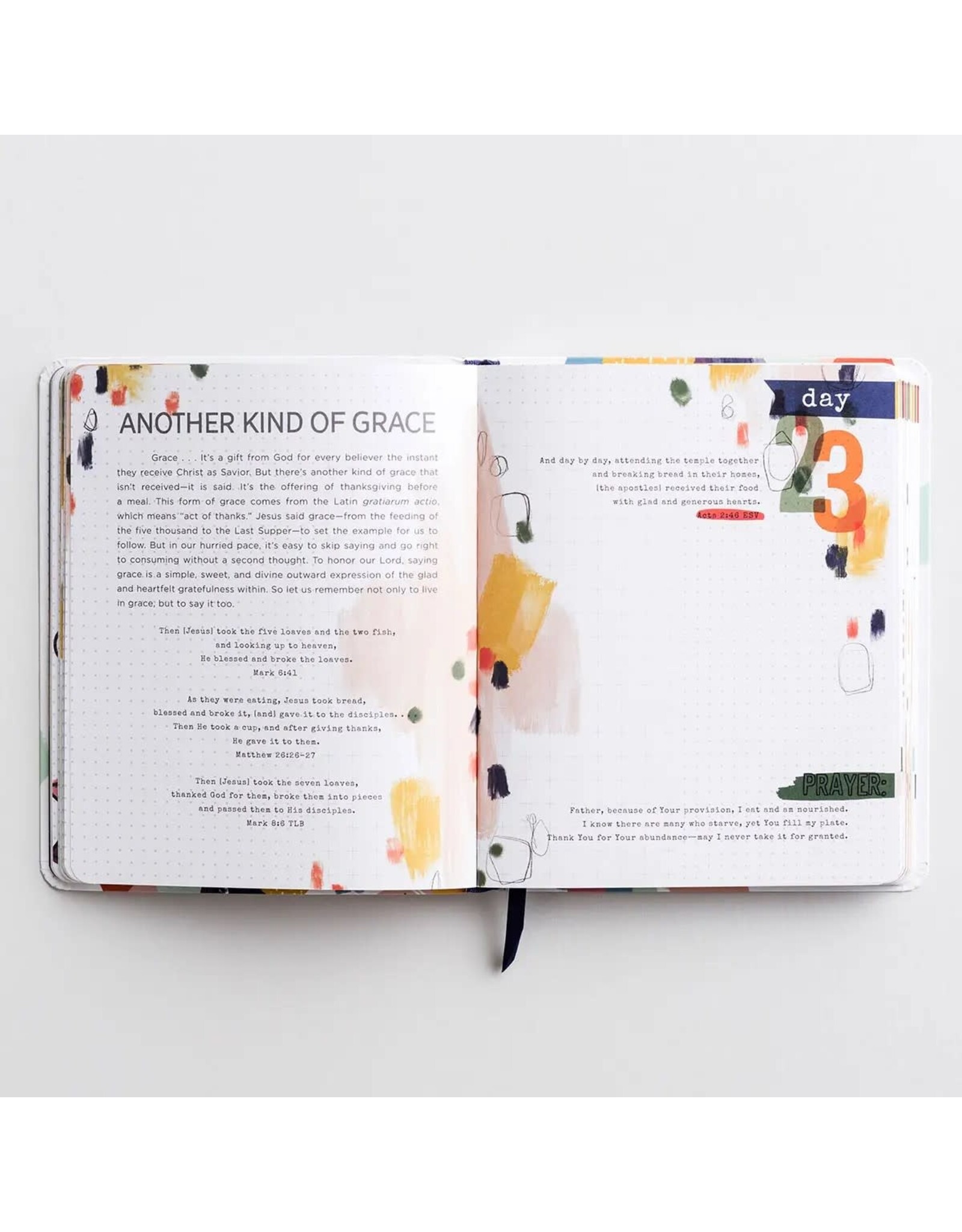 100 Days of Grace & Gratitude - Devotional Journal