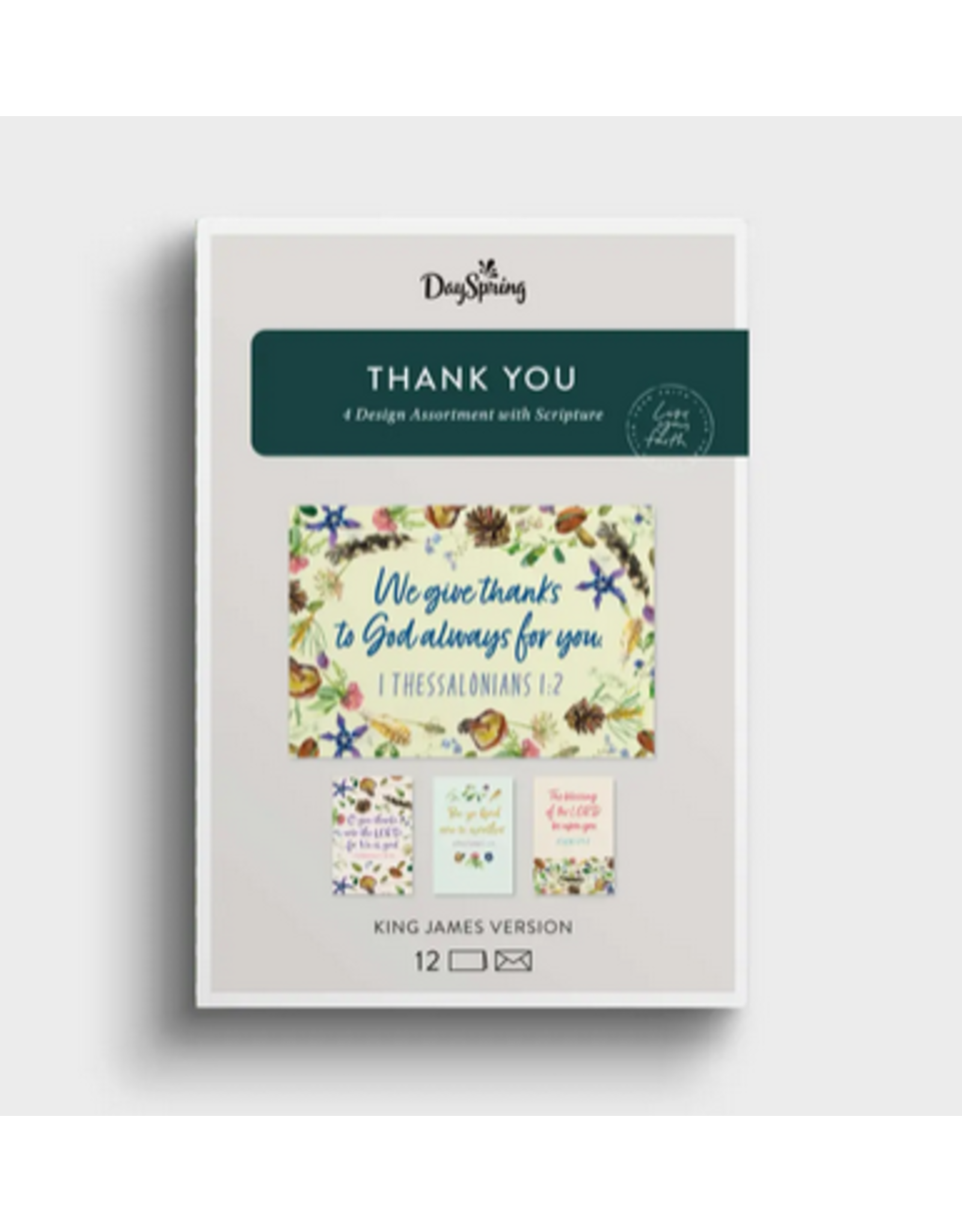 Thank You - Seashells - 12 Boxed Cards