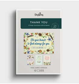 Thank You - Seashells - 12 Boxed Cards