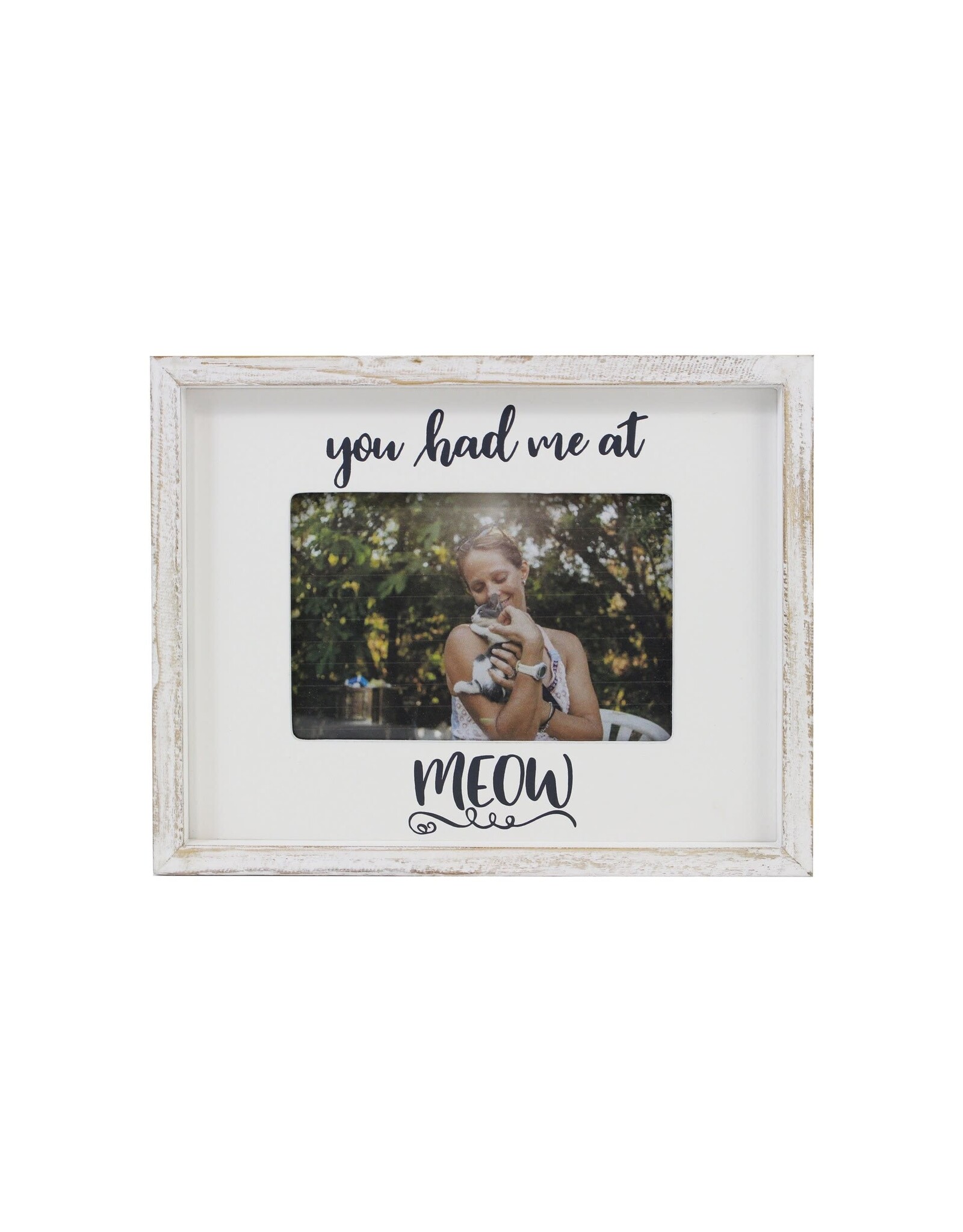 4X6 You Had Me at Meow Frame