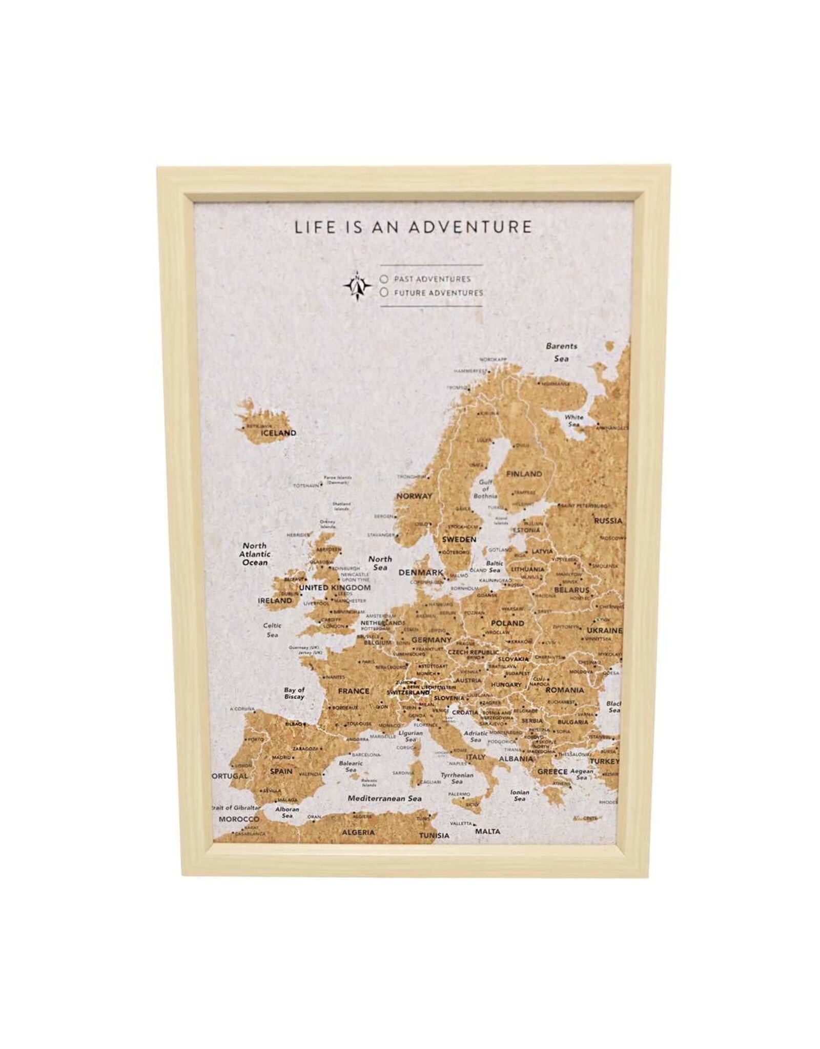 Small Travel Board Europe Map