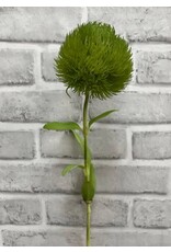 Green Fresh Touch Allium Spray