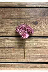 9" Fresh Touch Sedum Pick - Pink