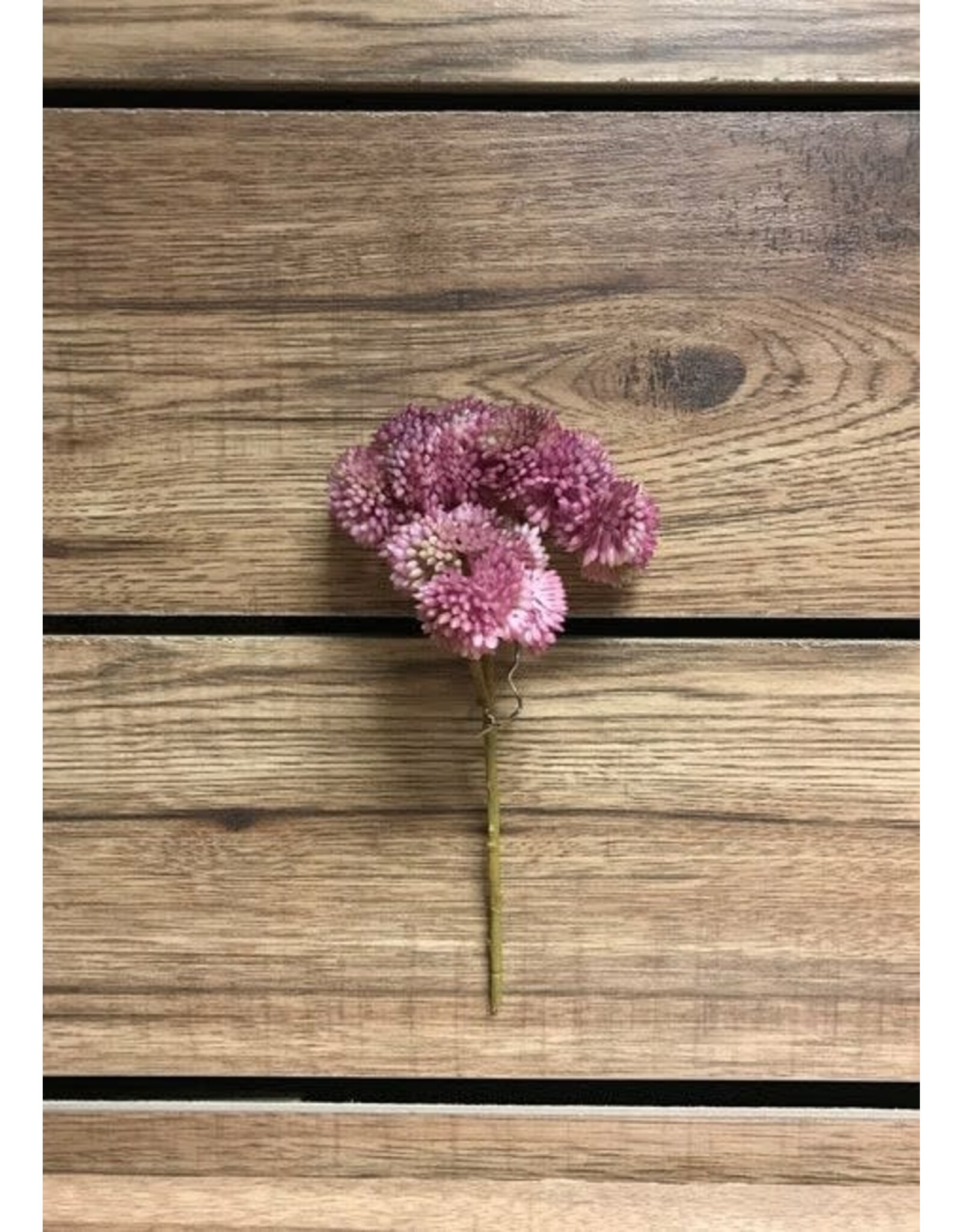 9" Fresh Touch Sedum Pick - Pink