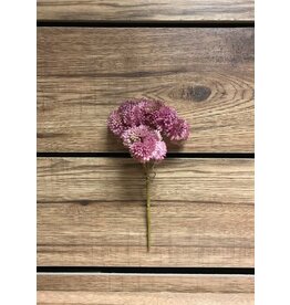 9" Fresh Touch Sedum Pick - Pink