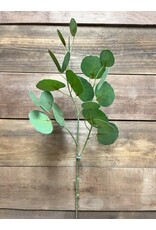 30" Fresh Touch Silver Dollar Eucalyptus Spray