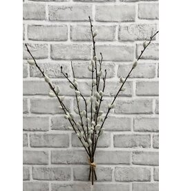 Pussy Willow Bundle