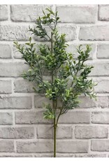 25.5" Dusted Mini Leaf Boxwood Spray