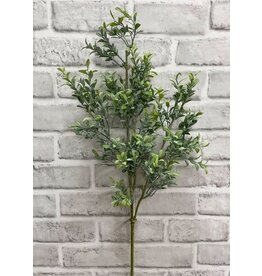 25.5" Dusted Mini Leaf Boxwood Spray