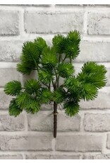 Green Thistle Bush