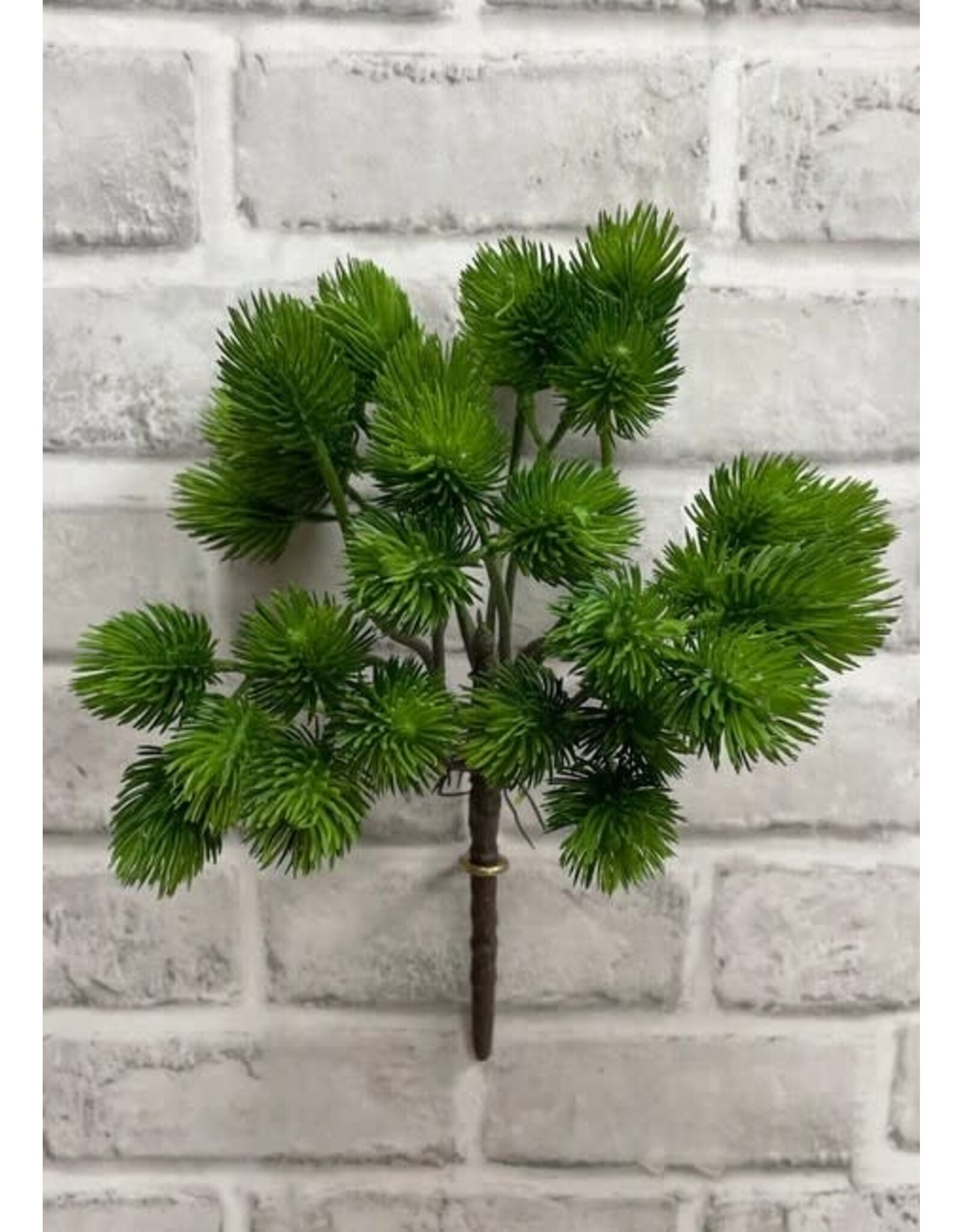 Green Thistle Bush