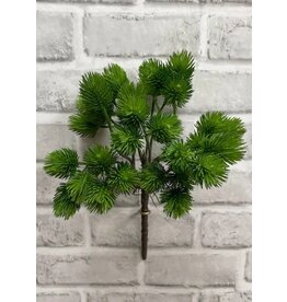 Green Thistle Bush