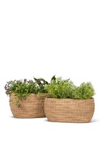 Large Ridged Oval Planter
