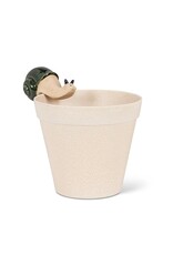 Climbing Snail Pot Hanger