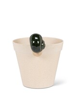 Climbing Snail Pot Hanger